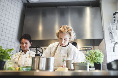 Low angle view of female chefs working at kitchen counter in restaurant