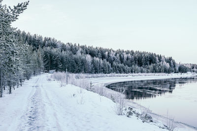 Snow covered plants by trees against sky