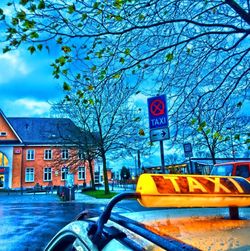 Bare trees with buildings in background