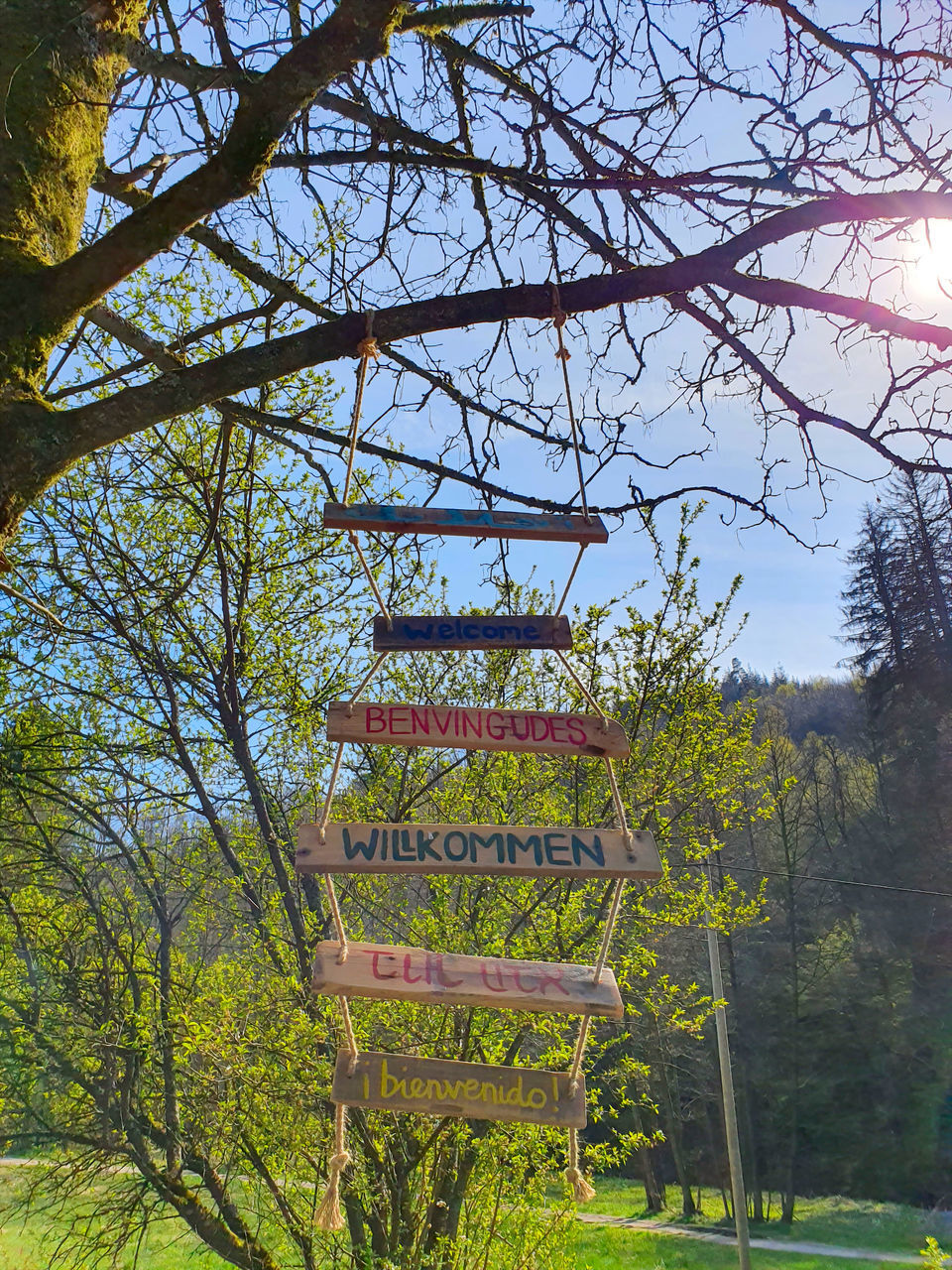 LOW ANGLE VIEW OF TEXT ON TREE