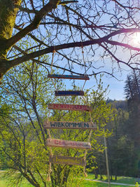 Low angle view of text on tree against sky