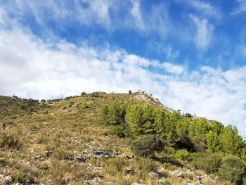 Low angle view of trees on mountain against sky