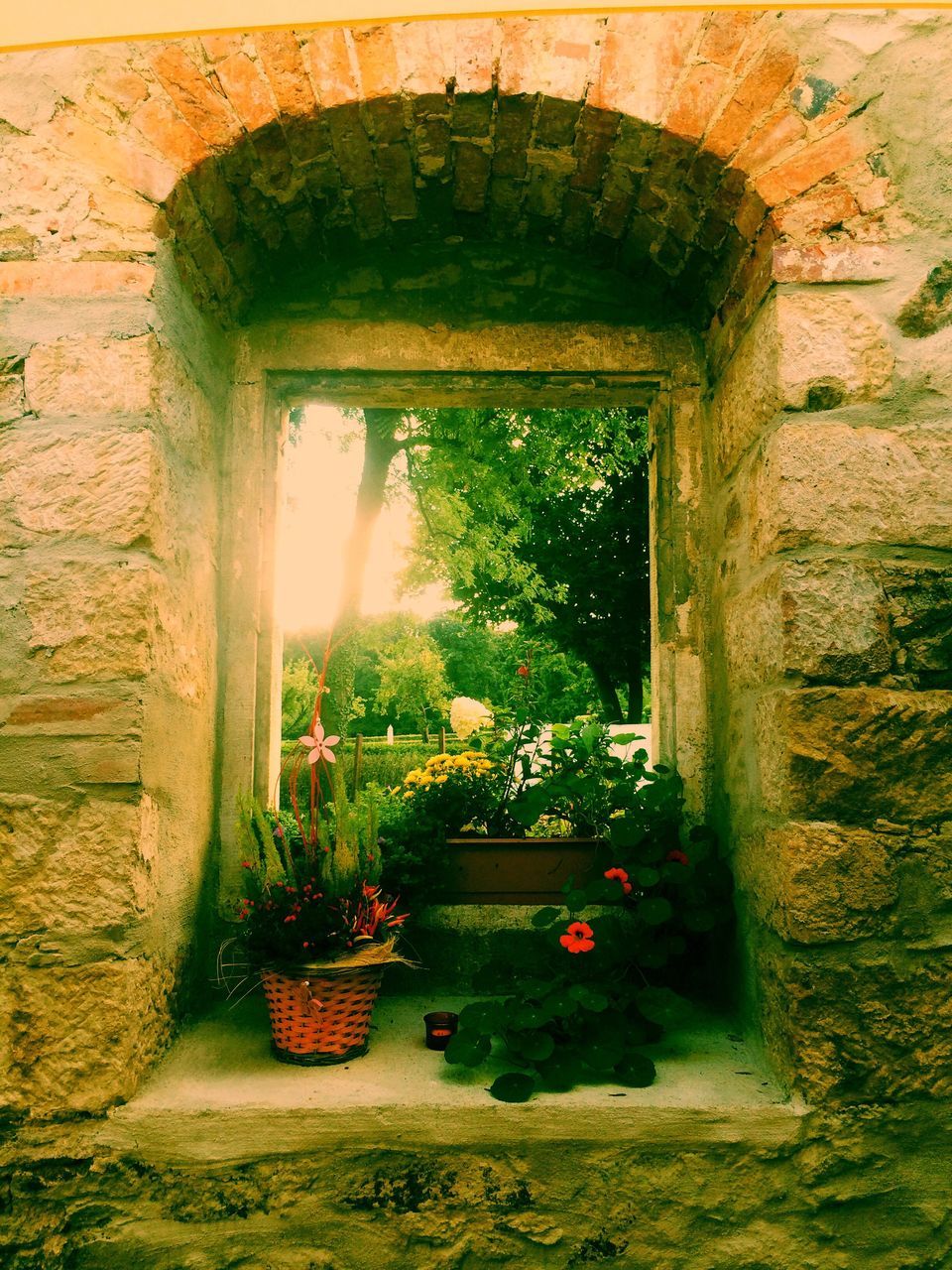 built structure, architecture, arch, building exterior, plant, indoors, place of worship, religion, entrance, house, flower, history, window, day, spirituality, green color, old, growth, stone wall, grass