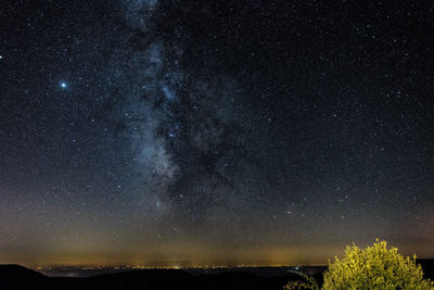 Low angle view of star field against sky at night