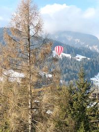 Hot air balloon flying over trees against sky