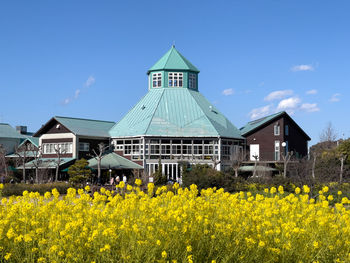 Scenic view of oilseed rape field against sky
