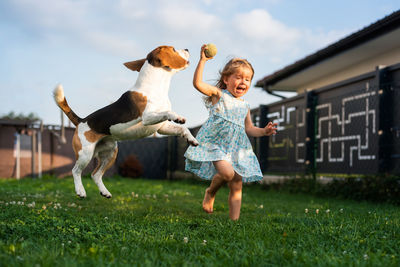 Adorable baby girl runs together with beagle dog in backyard on summer day. domestic animal 