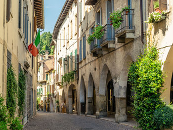 Potted plants on street amidst buildings in city