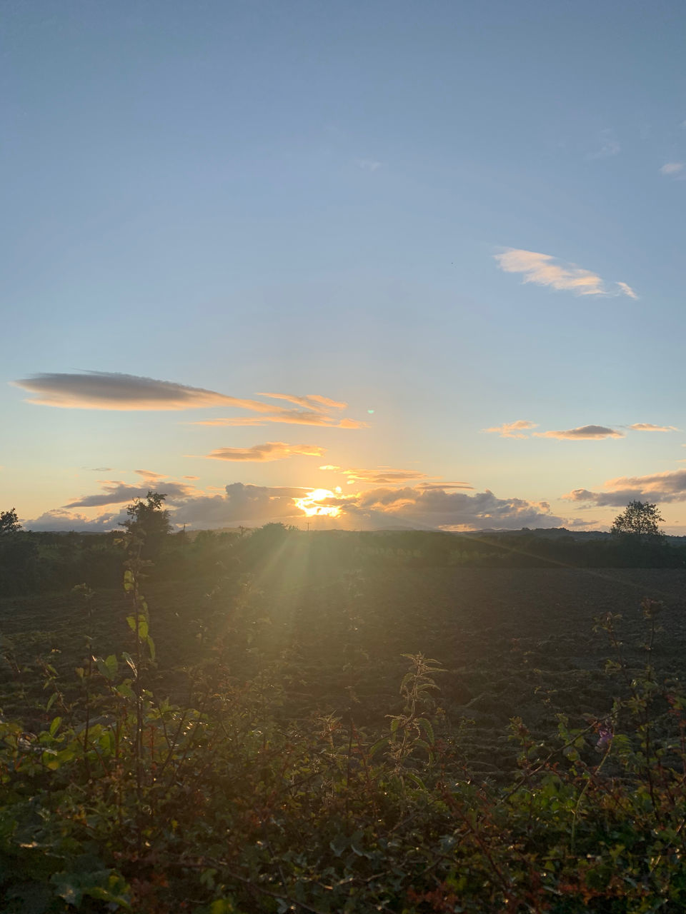 sky, environment, sunlight, landscape, beauty in nature, morning, nature, scenics - nature, sunrise, cloud, horizon, tranquility, sun, plant, land, dawn, tranquil scene, hill, no people, sunbeam, grass, field, lens flare, outdoors, idyllic, non-urban scene, blue, rural scene, light, twilight, back lit, travel, copy space, day, tree