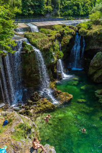 Scenic view of waterfall in forest