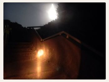 Sun shining through trees