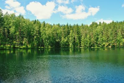 Scenic view of lake by trees against sky