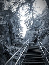 Low angle view of staircase