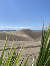 Scenic view of land against sky