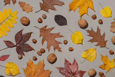 Autumn background with bright leaves and pumpkins