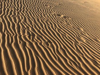 Full frame shot of sand dune