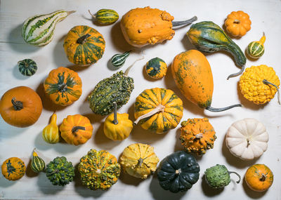 High angle view of squash on table