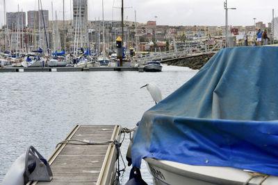 Sailboats moored at harbor against blue sky