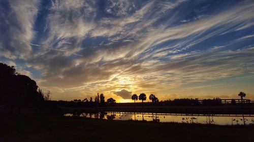 Silhouette of trees at sunset