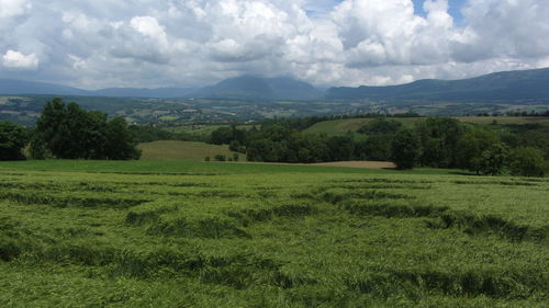 Scenic view of field against sky