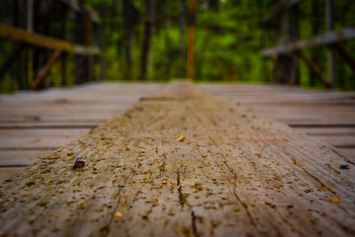 Close-up of wood on footbridge
