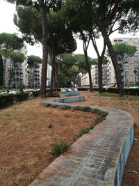 View of town by trees in city