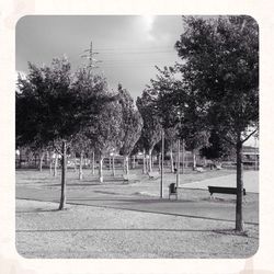 Empty benches in park