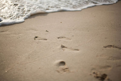 High angle view of footprints on sand at beach