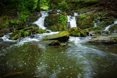 Scenic view of waterfall in forest