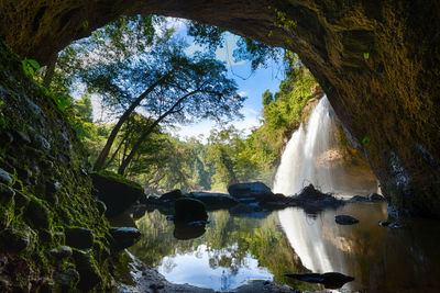 Scenic view of waterfall in forest