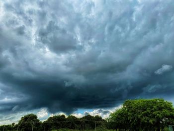 Low angle view of trees against storm clouds