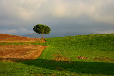 Scenic view of land against sky