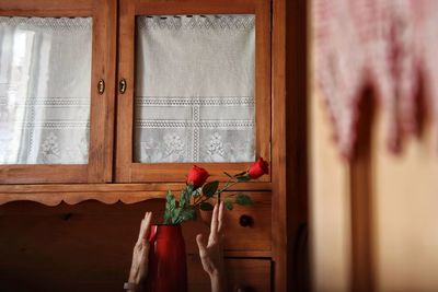 Potted plants on window sill