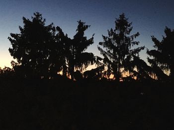 Low angle view of silhouette trees against sky during sunset