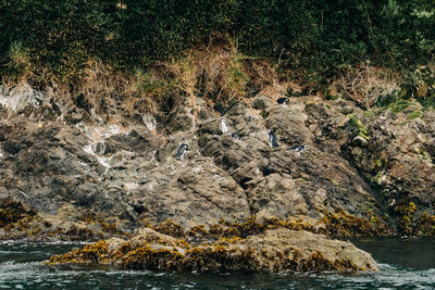 View of sea from rock