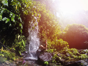 Scenic view of waterfall amidst trees