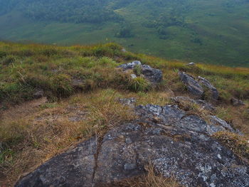 High angle view of land