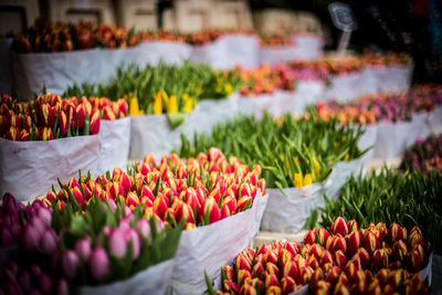 Various flowers at market stall