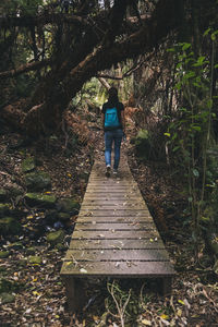 Young woman walking through a bridge in banks peninsula forest, nz