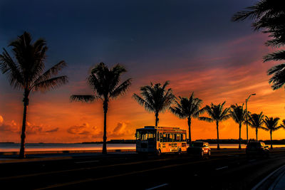 Silhouette palm trees against sky during sunset