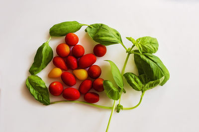 Close-up of fruits and leaves against white background