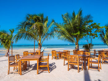 Chairs and tables arranged by palm trees at beach against clear blue sky