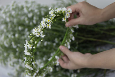 Cropped image of hand holding wreath