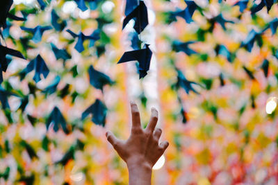 A boy's hand reaching up to the suspended origami birds