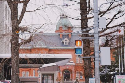 Bare trees and buildings in city during winter