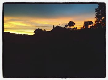 Silhouette of trees at sunset