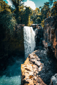 Scenic view of waterfall in forest