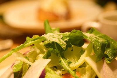 Close-up of salad