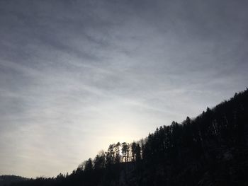 Low angle view of silhouette trees against sky