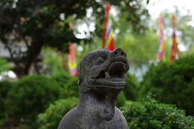 Close-up of statue against trees